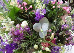 Dit is een foto van een vrolijk geel gekleurde bos bloemen
