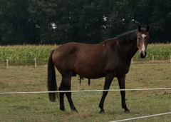 Touraine